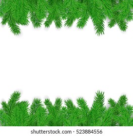 frame of green fir branches on a white background