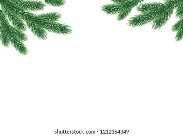 Frame with green fir branches. Vector background