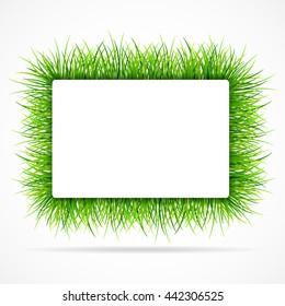 Frame with green grass