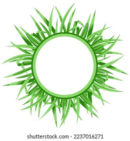 Frame with green grass. Beautiful decorative summer lawn.