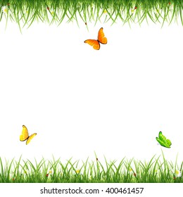 Frame from green grass with flowers, flying butterflies and ladybugs on white background, illustration.