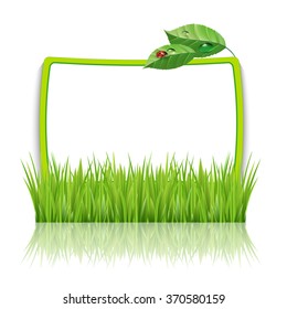 Frame with green grass and leaves, grass background