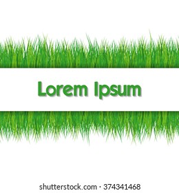 Frame with green grass on white background. Isolated vector illustration