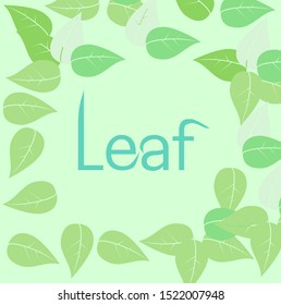 frame green leave and text leaf