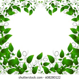 Frame of green leaves