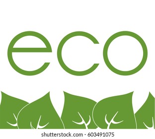 frame of green leaves around labels, eco