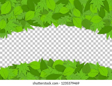 Frame of green leaves for design and decoration. Vector illustration. EPS 10