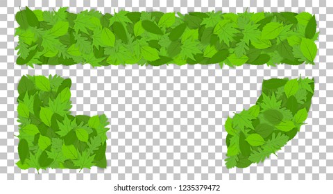 Frame of green leaves for design and decoration. Vector illustration. EPS 10
