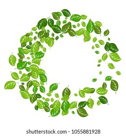 Frame of green leaves. Element decor for advertising and greeting cards. Eco friendly concept. Flat vector cartoon illustration. Objects isolated on white background.