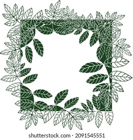 Frame with green leaves, isolated on a white background. For web design, decoration, invitations