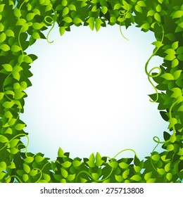 Frame of green leaves on white background