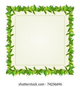 Frame from green leaves. Vector background Eps 10.