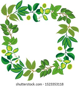 Frame with green leaves. Vector illustration, EPS 10