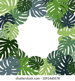 Frame from green Monstera leaves. Tropical leaves of palm tree. Vector background.