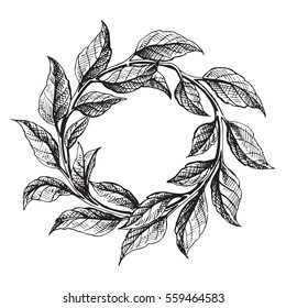 frame from the green tea leaves in graphic style, hand-drawn vector illustration.