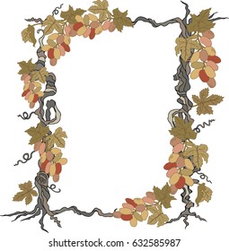 Frame with hand drawn grapes. Grapevine. Design element isolated on white background. Vector.