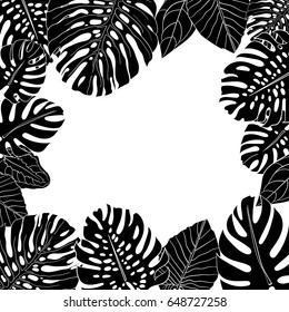 Frame of hand drawn monochrome vector tropical plants leaves. Greeting card and design element