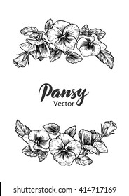 Frame with hand drawn pansy flowers, vector illustration. Vintage style.