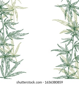 Frame of hemp plant leaves, branch and seeds. Organic product. Ink sketch of cannabis. Hand drawn graphic design. Stock vector illustration.