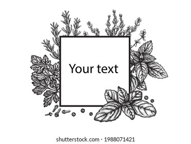 frame from herbs and spices. Vector graphics
