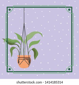 frame with houseplant hanging in macrame