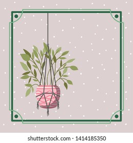 frame with houseplant hanging in macrame