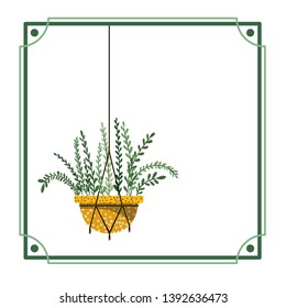 frame with houseplant on macrame hangers