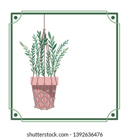 frame with houseplant on macrame hangers
