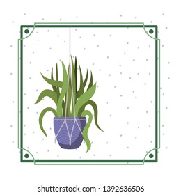 frame with houseplant on macrame hangers