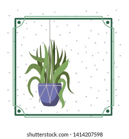 frame with houseplant on macrame hangers