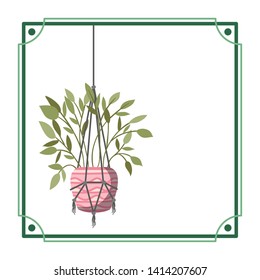 frame with houseplant on macrame hangers - Shutterstock ID 1414207607