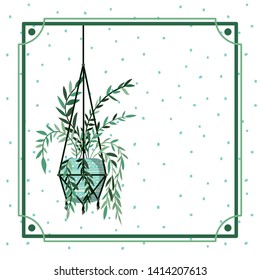 frame with houseplant on macrame hangers