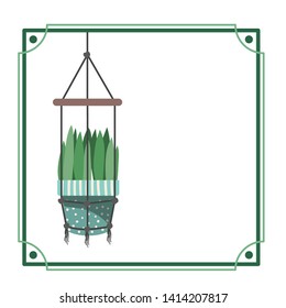 frame with houseplant on macrame hangers
