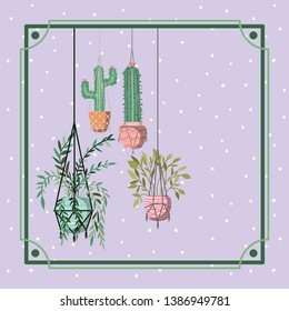 frame with houseplants and cactus hanging in macrame