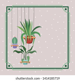 frame with houseplants and cactus hanging in macrame