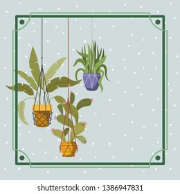frame with houseplants hanging in macrame