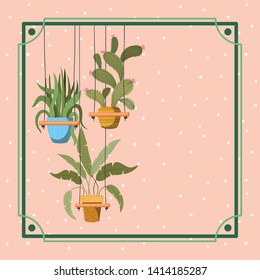 frame with houseplants hanging in macrame