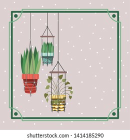 frame with houseplants hanging in macrame