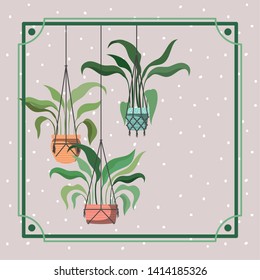 frame with houseplants hanging in macrame