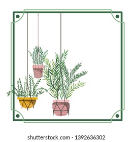 frame with houseplants on macrame hangers