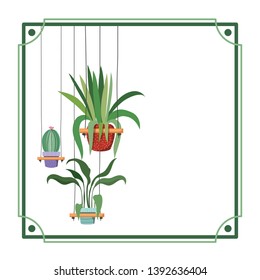 frame with houseplants on macrame hangers