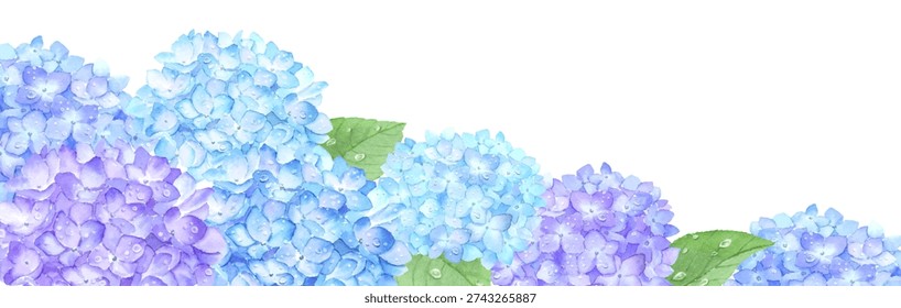 Frame of hydrangea painted in watercolor