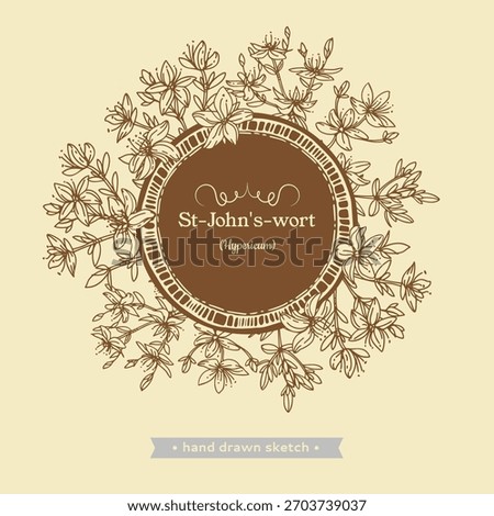 Frame of Hypericum or St. John’s wort, medicinal plant, sketch of stem with leaves and flowers. Vector illustration