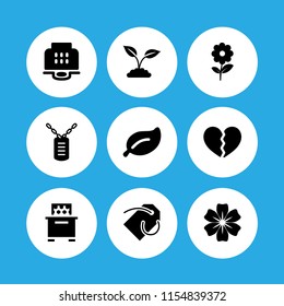frame icon. 9 frame set with bee hive, dog tag, broken and flats vector icons for web and mobile app