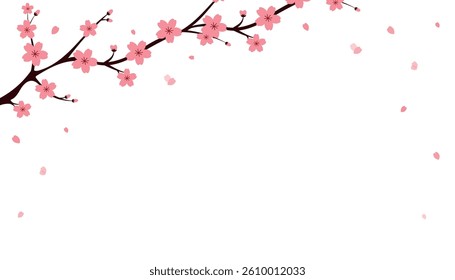 Frame illustration of cherry blossoms and falling snowflakes, Minimalist cherry blossom branch with pink flowers on a white background. on white background with space for text