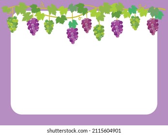 Frame illustration of the grape.