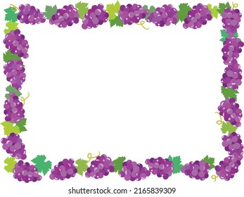 Frame illustration of the grape.