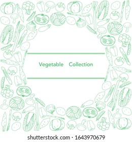 frame illustration laid with line drawing vegetables.