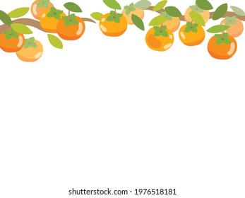 Frame illustration of the persimmon
