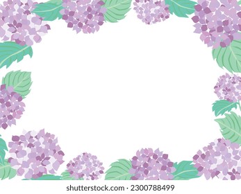 Frame illustration of purple hydrangea of June